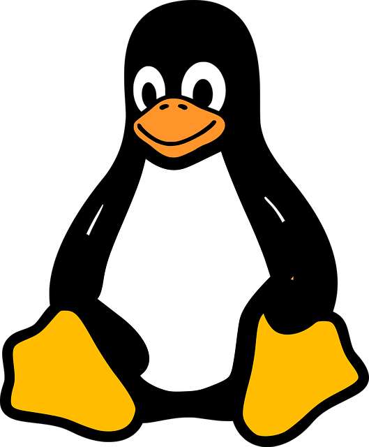 What is Linux operating system 